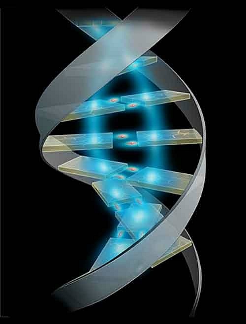 ДНК как энергоновая структура